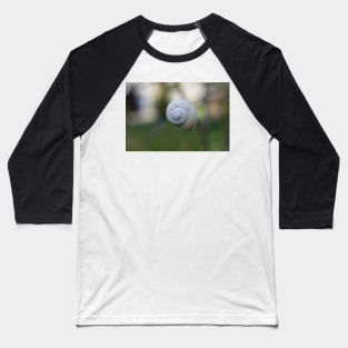 Snail shell in the middle of nature Baseball T-Shirt